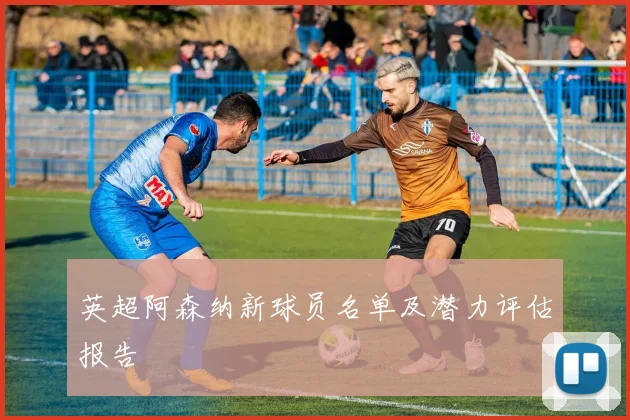 英超阿森纳新球员名单及潜力评估报告