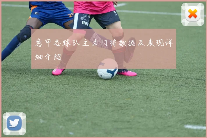 意甲各球队主力门将数据及表现详细介绍