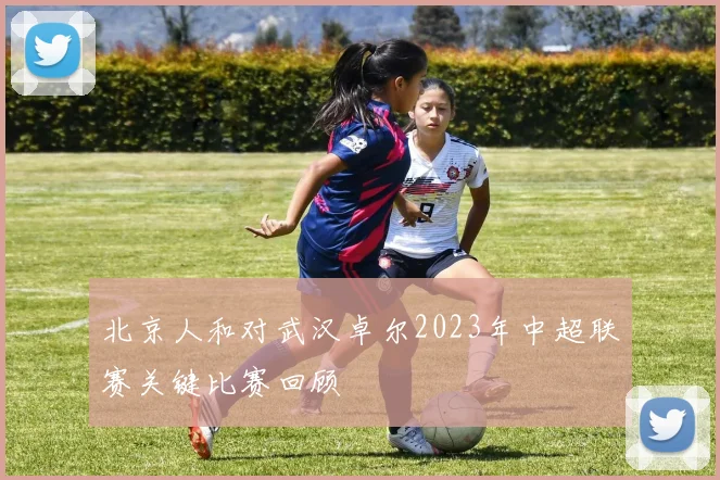 北京人和对武汉卓尔2023年中超联赛关键比赛回顾