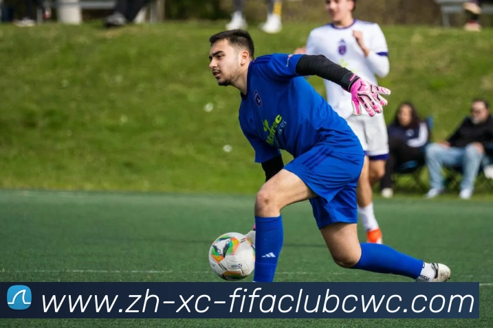 世界杯平台服务体系